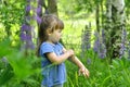 Little girl playing in sunny blooming forest. Toddler child picking lupine flowers. Kids play outdoors. Summer fun for family with Royalty Free Stock Photo