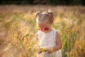 Little girl playing in sunny summer field. Baby in white dress and sunglasses