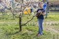 A little girl playing ukulele in the garden. Royalty Free Stock Photo