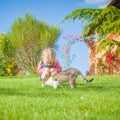 Little girl plays with a cat on a green grass Royalty Free Stock Photo