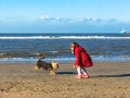 The little girl plays with dog on the beach. Royalty Free Stock Photo