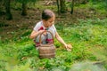 Little girl plucks a boletus mushroom from the ground. Woven basket beside Royalty Free Stock Photo