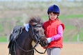 Little girl and pony Royalty Free Stock Photo