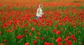 Little girl on the poppies meadow. Beautiful daughter on a poppy field outdoor. Spring flower blossom meadow background. Royalty Free Stock Photo
