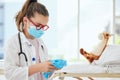 Cant forget my gloves. a little girl pretending to be a doctor while examining her stuffed animal at home. Royalty Free Stock Photo