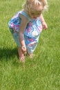 Little girl pulling dandelions in grass in summer
