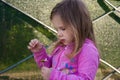 A little girl pulls off petals from a daisy. Royalty Free Stock Photo