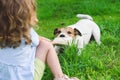 Little girl pulls toy playing tug-of-war game with family pet dog Royalty Free Stock Photo