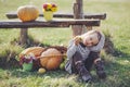 Little girl with pumpkins Royalty Free Stock Photo