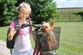 Little girl, puppy and bike Royalty Free Stock Photo