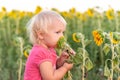 A little girl put a sunflower to her face and smells it like a flower Royalty Free Stock Photo