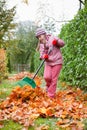 Little girl rake autumn leaves in garden Royalty Free Stock Photo