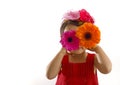 Little girl in red dress with gerbera flowers at her eyes Royalty Free Stock Photo