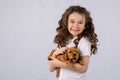 Little girl with red puppy isolated on white background. Kid Pet Friendship Royalty Free Stock Photo