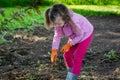 Little girl removing weeds