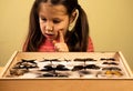 Little Girl Researching Entomology Collection of Tropical Butterflies Royalty Free Stock Photo