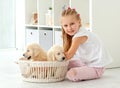 Little girl and retriever puppies Royalty Free Stock Photo