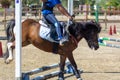 Little Girl that rides a brown Pony and Jumps the obstacle during Pony Game competition at the Equestrian School