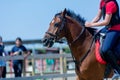 Little girl that rides a brown pony during Pony Game competition at the Equestrian School