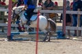 Little Girl that rides a white Pony and Jumps the obstacle during Pony Game competition at the Equestrian School