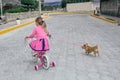 Little girl riding a bicycle and a chihuahua dog on the street under the open sky.