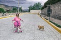 Little girl riding a bicycle and a chihuahua dog on the street under the open sky.