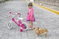 Little girl riding a bicycle and a chihuahua dog on the street under the open sky. Royalty Free Stock Photo
