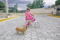 Little girl riding a bicycle and a chihuahua dog on the street under the open sky. Royalty Free Stock Photo