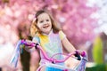 Little girl riding a bike. Child on bicycle. Royalty Free Stock Photo