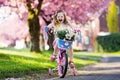 Little girl riding a bike. Child on bicycle. Royalty Free Stock Photo