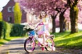 Little girl riding a bike. Child on bicycle. Royalty Free Stock Photo