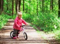 Little girl riding bike in summer forest Royalty Free Stock Photo