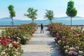 Little girl riding on roller skates across the Bostanci coast with view on Princes` Islands