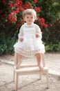 Little girl in rose garden next to a big bush of red roses Royalty Free Stock Photo