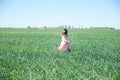 Little girl running in field on green grass at summer, happy smiling kid Royalty Free Stock Photo