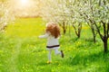 little girl running in the garden Royalty Free Stock Photo