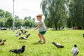 A little girl runs for pigeons.Baby Girl Chasing Pigeons In Outdoors City Park. cheerful happy childhood, runs laughing Royalty Free Stock Photo