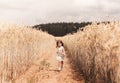 A little girl runs through a wheat field. The girl has fun and laughs with delight. Field with ripe ears of corn at sunset Royalty Free Stock Photo