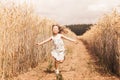 A little girl runs through a wheat field. The girl has fun and laughs with delight. Field with ripe ears of corn at sunset Royalty Free Stock Photo