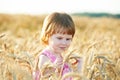 Little girl in rye wheat field Royalty Free Stock Photo