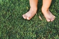 The little girl's feet tread the top of the grass on the green lawn. Some parts of the body Royalty Free Stock Photo