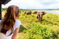 Little girl on safari Royalty Free Stock Photo