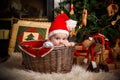 Little girl in Santa hat sits in basket against the background of fireplace and Christmas tree and close looks at the camera