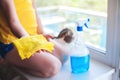 Little girl in shirt and blue shorts washes the windows at home. Daughter with a cat wash the window Royalty Free Stock Photo