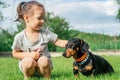 Little girl 3-4 sit and pet black-brown dachshund dog in collar, on green grass Royalty Free Stock Photo