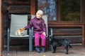 A little girl sits with a cat and a dog on the porch of a country wooden house Royalty Free Stock Photo