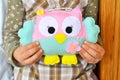 Little girl sits and holds an owl toy in the hands. Cute pink and blue felt toy. Home felt decor Royalty Free Stock Photo