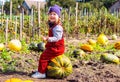 A little girl sits on a large pumpkin in a field among bright yellow, green and orange pumpkins and smiles. A child on a pumpkin f Royalty Free Stock Photo