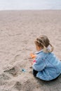 Little girl sits on a sandy beach with colorful molds and shovels. Back view