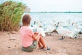 Little girl sitting on the beach with swans Royalty Free Stock Photo